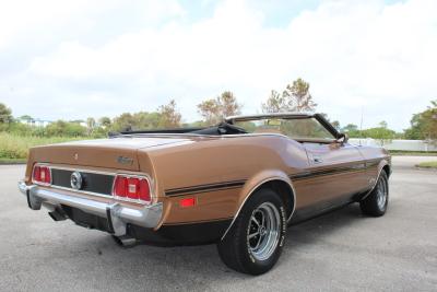 1973 Ford Mustang