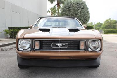 1973 Ford Mustang