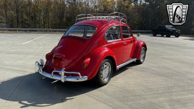 1967 Volkswagen Beetle