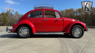 1967 Volkswagen Beetle