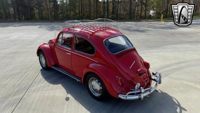 1967 Volkswagen Beetle