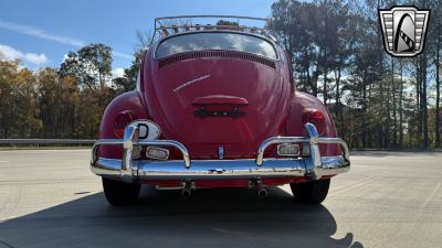 1967 Volkswagen Beetle