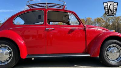 1967 Volkswagen Beetle