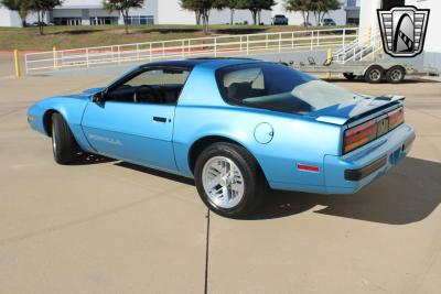 1988 Pontiac Firebird