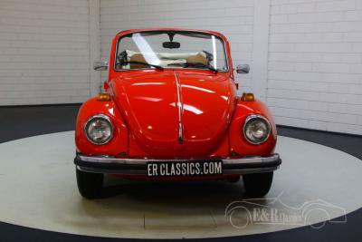 1979 Volkswagen Beetle