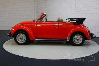 1979 Volkswagen Beetle