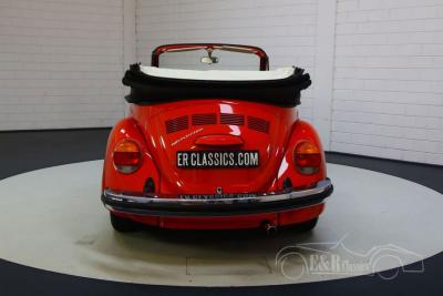 1979 Volkswagen Beetle