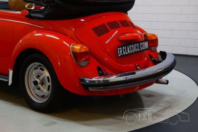 1979 Volkswagen Beetle