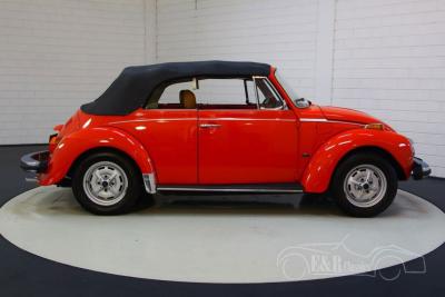 1979 Volkswagen Beetle