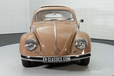 1957 Volkswagen Beetle