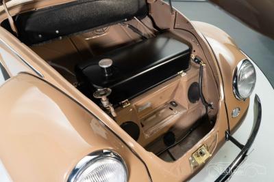 1957 Volkswagen Beetle