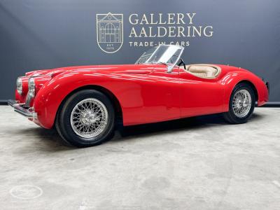 1954 Jaguar XK120