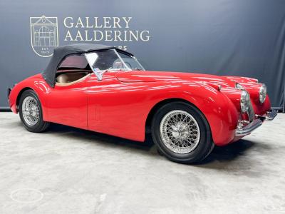 1954 Jaguar XK120