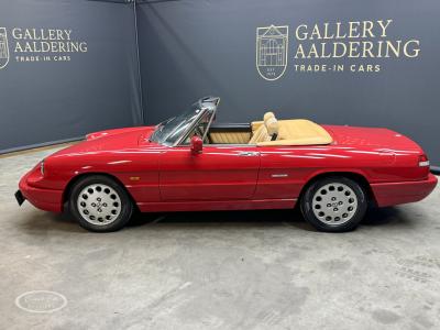 1991 Alfa Romeo Spider