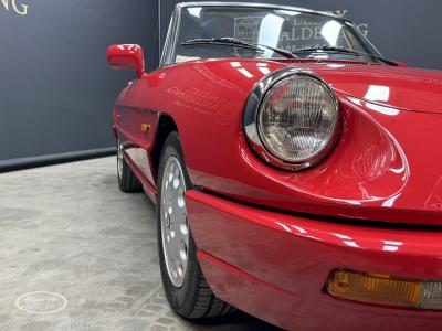 1991 Alfa Romeo Spider