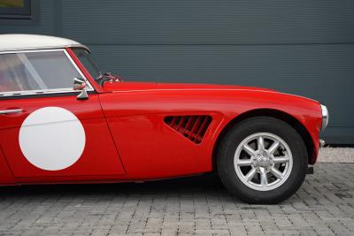 1959 Austin - Healey 3000 Mk1 BN7