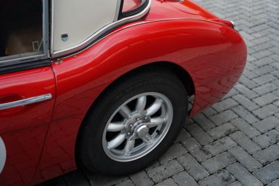 1959 Austin - Healey 3000 Mk1 BN7