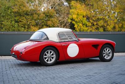 1959 Austin - Healey 3000 Mk1 BN7