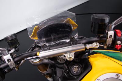 2024 Ducati MONSTER SENNA