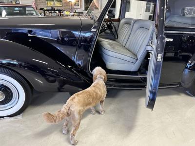 1954 Rolls - Royce Silver Dawn