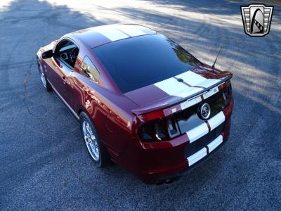 2014 Ford Shelby GT500