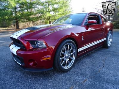 2014 Ford Shelby GT500