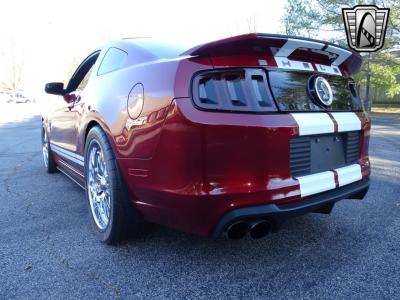 2014 Ford Shelby GT500