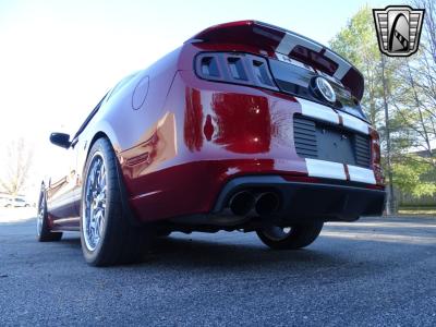 2014 Ford Shelby GT500