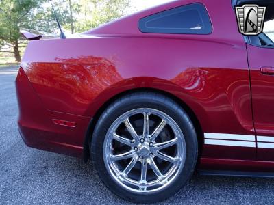 2014 Ford Shelby GT500