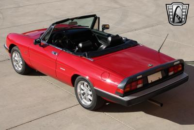 1988 Alfa Romeo Spider