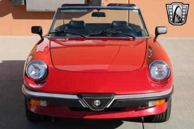 1988 Alfa Romeo Spider