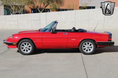 1988 Alfa Romeo Spider