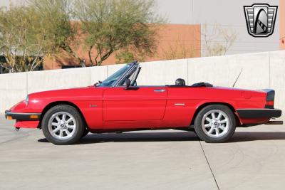 1988 Alfa Romeo Spider