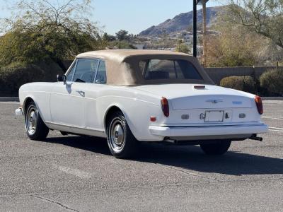 1981 Rolls - Royce Corniche