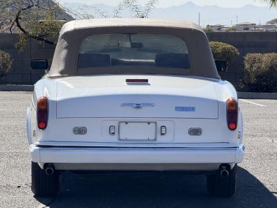 1981 Rolls - Royce Corniche