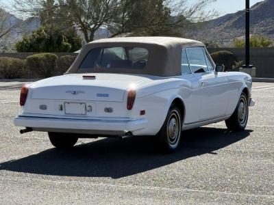 1981 Rolls - Royce Corniche