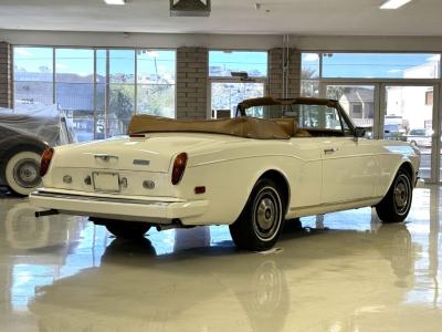 1981 Rolls - Royce Corniche