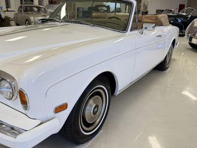 1981 Rolls - Royce Corniche