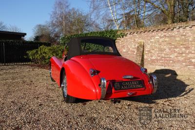 1954 Jaguar XK120 OTS