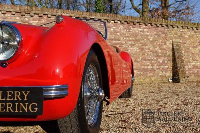 1954 Jaguar XK120 OTS