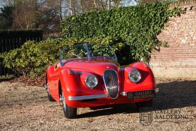 1954 Jaguar XK120 OTS