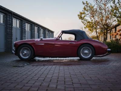 1962 Austin - Healey 3000