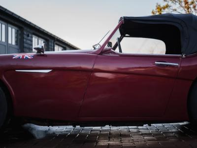 1962 Austin - Healey 3000