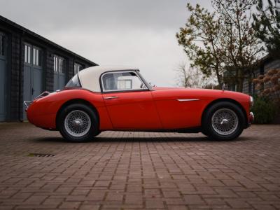 1965 Austin - Healey Overige