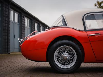 1965 Austin - Healey Overige