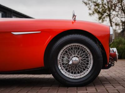 1965 Austin - Healey Overige