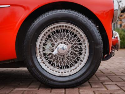 1965 Austin - Healey Overige