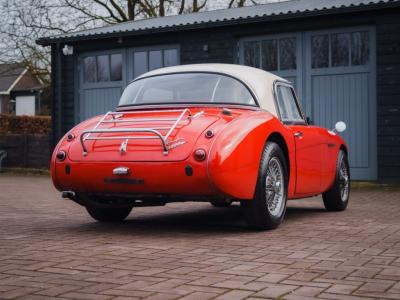 1965 Austin - Healey Overige