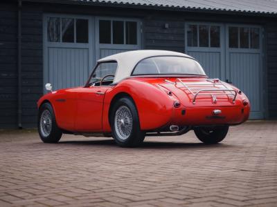 1965 Austin - Healey Overige