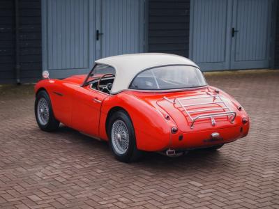 1965 Austin - Healey Overige